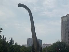 -陕西自然博物馆