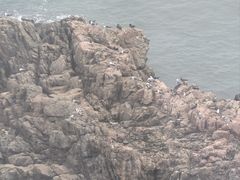 -摩天岭风景区
