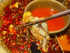 -哥老官重庆美蛙鱼头(日月光店)