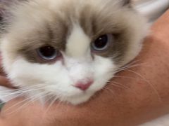 -佳雯宠物医院·皮肤科·内外科(春晓路分院)