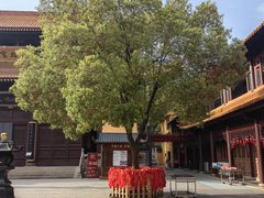 -亭林园-华藏寺