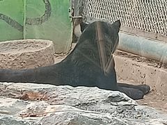 -济南野生动物世界