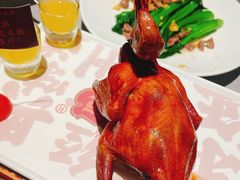 -大鸽饭(体育西路店)