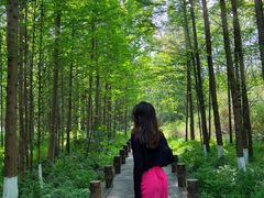 -桤木河湿地公园