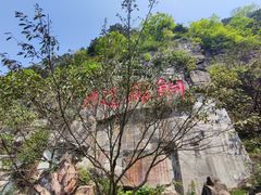 -铁山坪森林公园