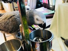 -森野花艺培训·企业团建活动沙龙