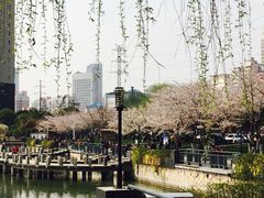 -西北湖绿化广场