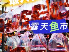 -华声天桥民俗文化园