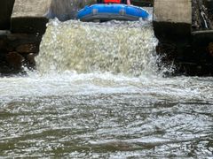 -华盛园卷子王农家菜水库鱼