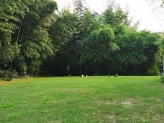 -苏州河梦清园环保主题公园