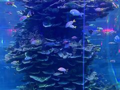 -泉城欧乐堡海洋极地世界