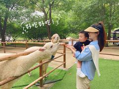 -秀丽东方