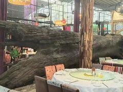 -大树头森林餐厅(番禺广场店)