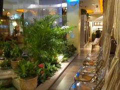 -润园四季椰子鸡火锅(海上世界店)