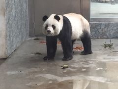 -西安秦岭野生动物园