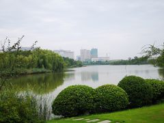 -徐州博顿温德姆酒店(高铁东站店)