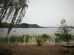 -金鸡湖桃花岛