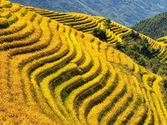 -龙脊梯田风景名胜区游客中心-停车场