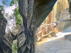 -梭布垭石林景区