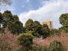 -龙头寺公园