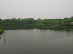 -东郊湿地公园
