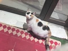 -NLFS1983咖啡花园餐厅(锦桂店)