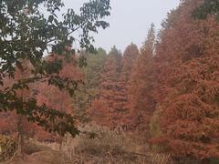 -白塘生态植物园
