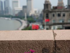 景观位-上海和平饭店华懋阁 Cathay Room