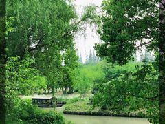 -同里国家湿地公园