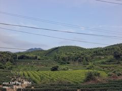 -李东农庄(中南百草园地标店)