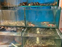 水产区-小郭私房菜·海肠捞饭店(学士街店)