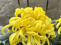 -上海大学(嘉定校区)