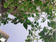 -春庄咖啡SpringHues(钟楼小区店)