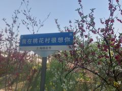 -南汇桃花村