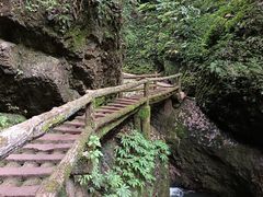 -青城山