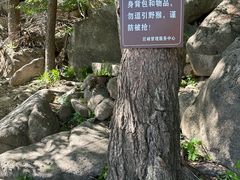 -崂山巨峰游览区
