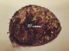 和鲍鱼-鼎鼎香·港式火锅(北京SKP店)
