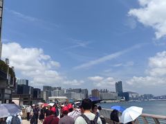 -星光大道