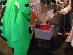 -杭州温德姆至尊豪廷大酒店