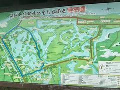 -盐城丹顶鹤湿地生态旅游区