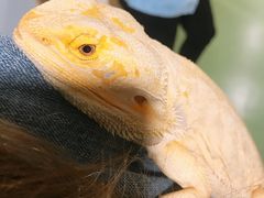 -藦茜花园宠物主题亲子互动体验馆(国顺东路店)