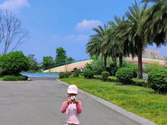 -府河摄影公园