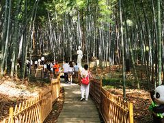 -敬亭山风景名胜区