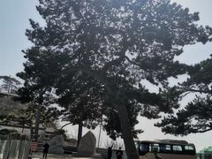-妙峰山风景名胜区