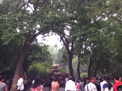 -紫竹院公园冰场