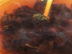 -倪氏兄弟尖椒鸡(云报华府店)