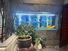 -又见炊烟私房菜(敬亭路店)