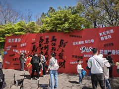 -江苏三台山国家森林公园