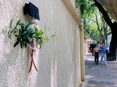 -RUMORS COFFEE ROASTERY鲁马滋咖啡(湖南路店)