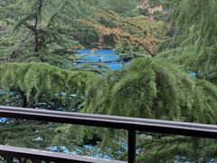 -太原星河湾酒店-真粤中餐厅